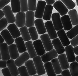 Gold Nanoparticles from Nanopartz - High Quality and Versatile Applications